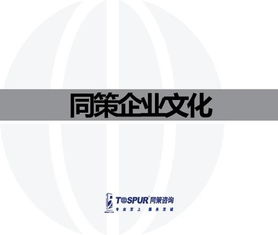 致客户的承诺——做值得托付的房地产智囊\n副标题 某房地产咨询服务公司企业文化重塑行动纲要文件（内部审核版）\n\n**第2-3页 我们的行业信念**\n• 房地产不仅是钢筋水泥，更是城市灵魂的载体。“我们尊重每一块土地的基因。”\n• 唯一不变的是变化与专业。核心命题 从增长逻辑转向价值逻辑的生存之道。\n\n**第4-5页 使命定义**\n我们存在的根本原因 “赋能不动产全周期，让投资回归价值本质。”（注 在供给侧改革与去金融化大背景下，帮助客户甄别泡沫，专注抗周期真理。）\n\n**第6-8页 战略